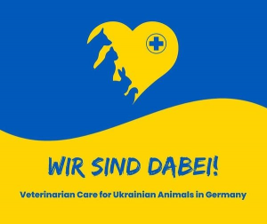 Veterinarien Care for Ukrainian Animals in Germany