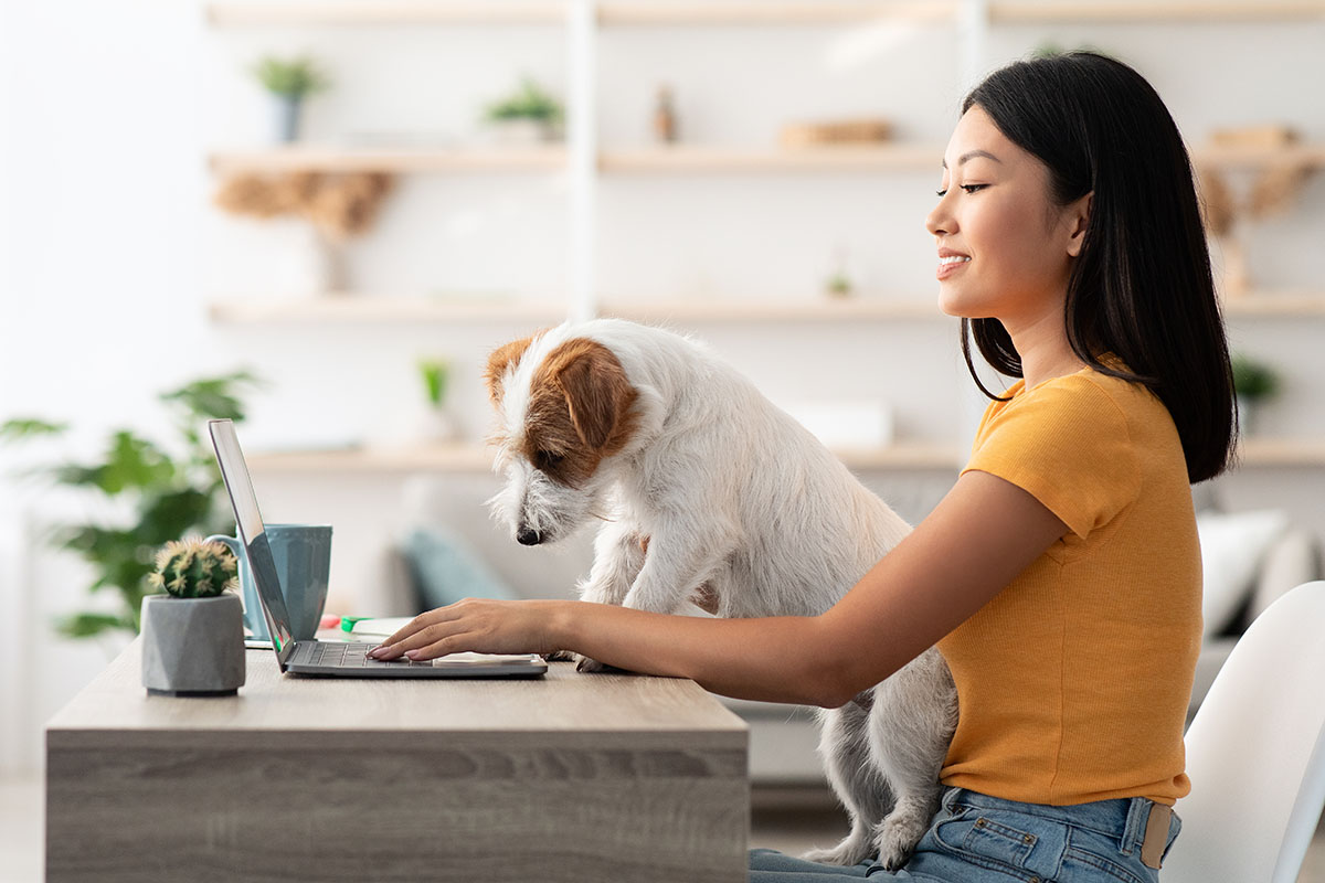 Frau mit Hund am Computer: Anmeldebogen ausfüllen